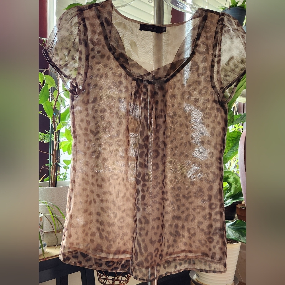 The Limited sheer blouse with lining